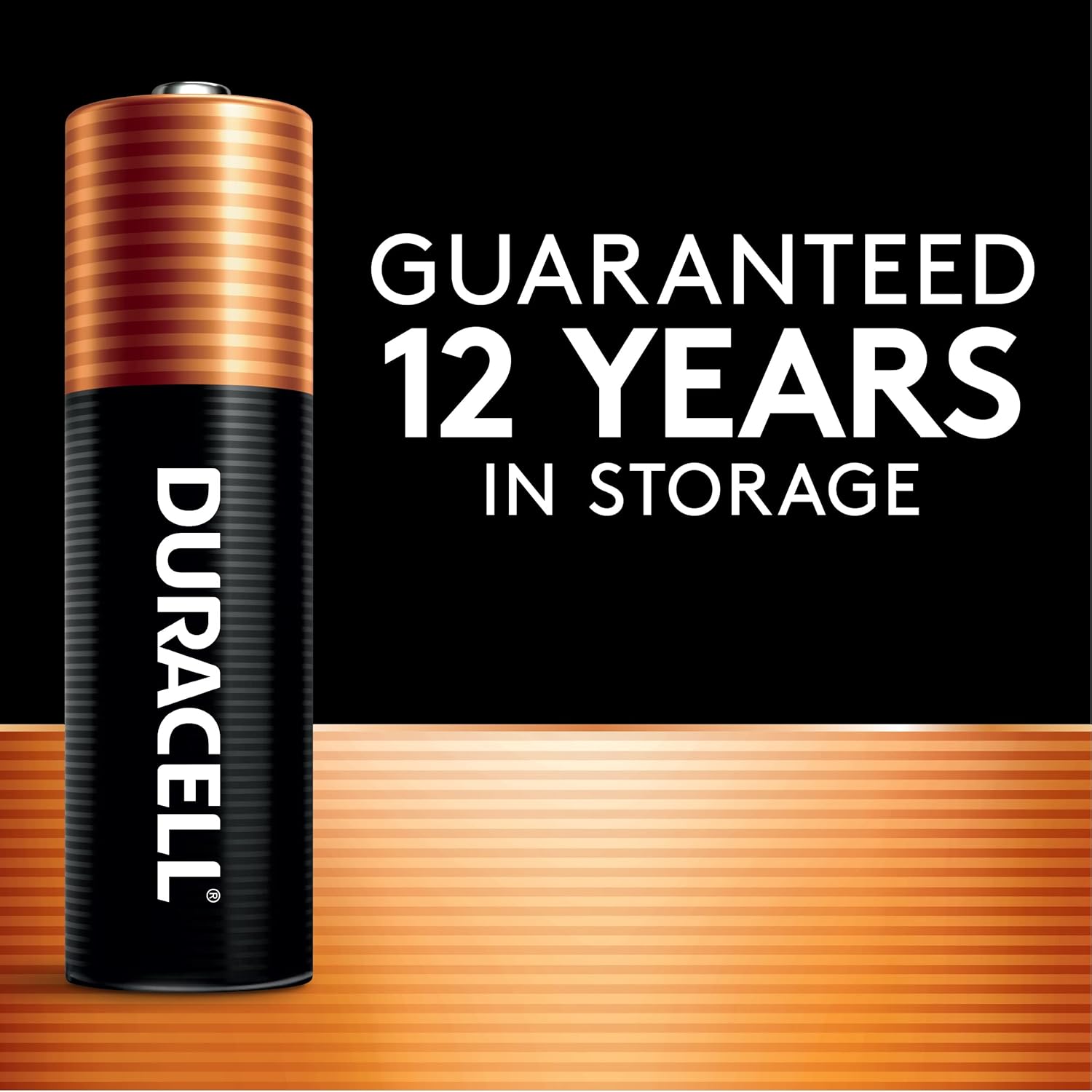 Duracell Coppertop AA Batteries with Power Boost Ingredients 24 Count