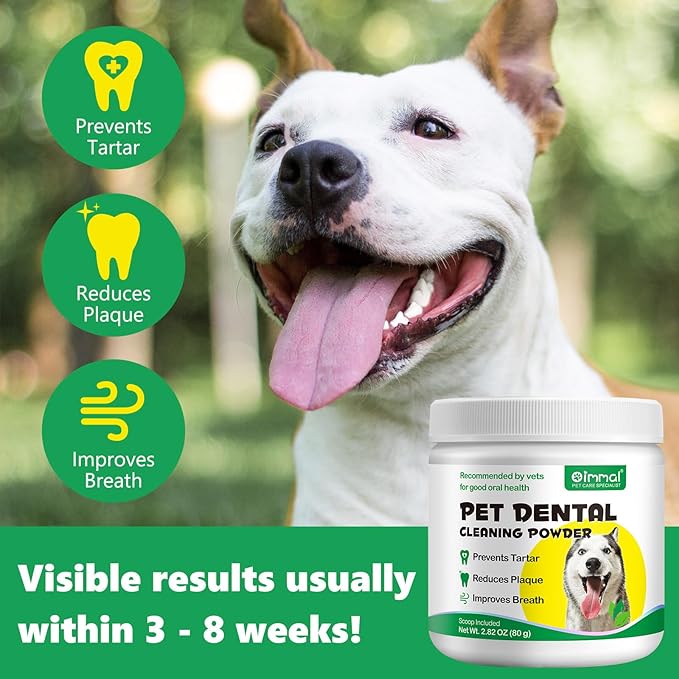 Teeth Cleaning Dental Powder