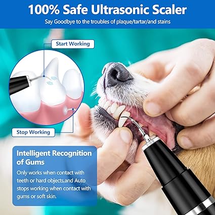 Teeth Cleaning Kit for Tartar and Stains - Suitable for Dogs and Cats (Black)