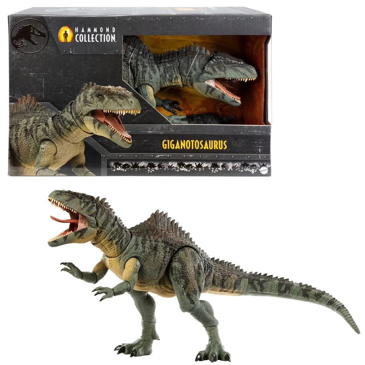 Mattel Jurassic World Dominion Hammond Collection Dinosaur Action Figure, Giganotosaurus Dino Toy with 21 Articulations, Glass Eyes, Wired Tail & Posable Tongue